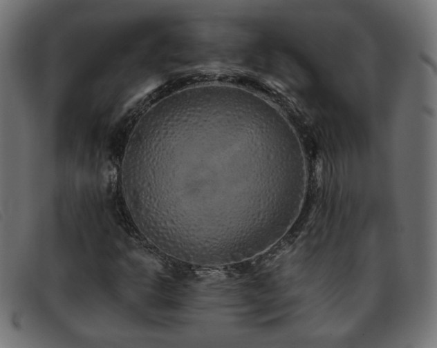 X0000093771302200710161234