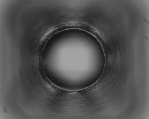 X0000093771304200710161234