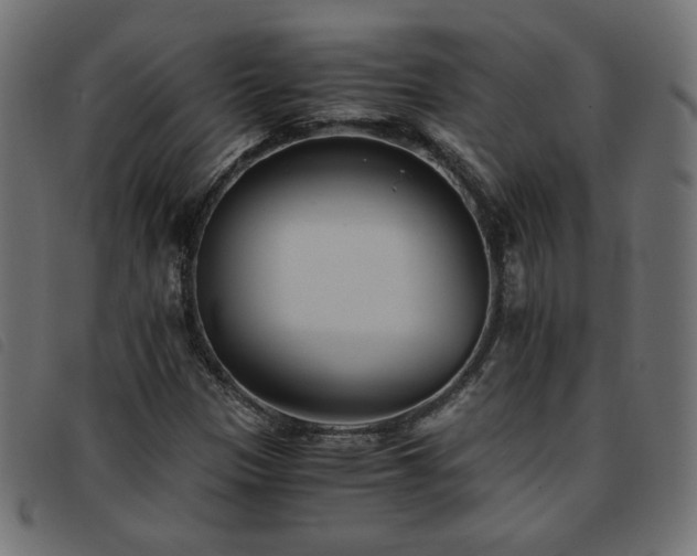 X0000093771305200710161234