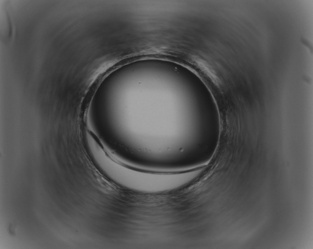 X0000093771308200710161234