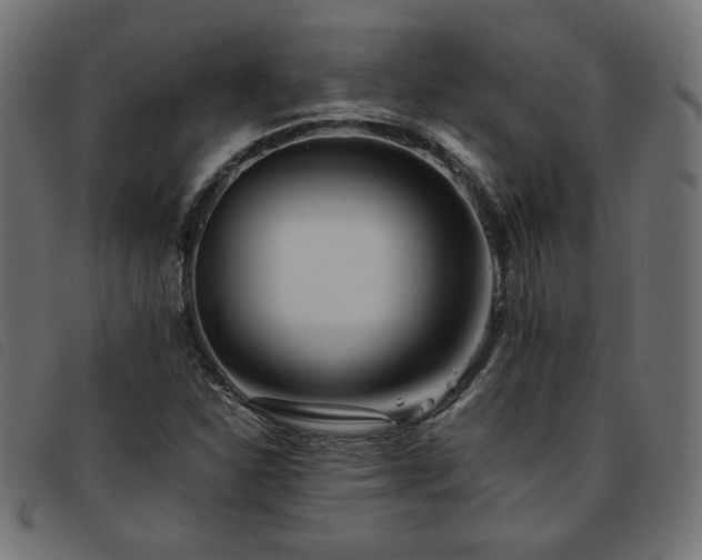 X0000093771310200710161234