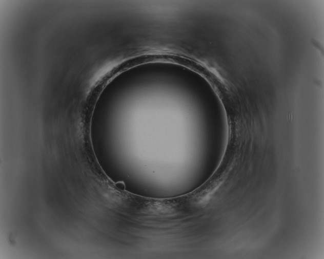 X0000093771311200710161234