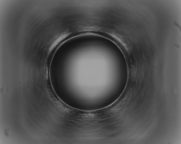 X0000093771317200710161234
