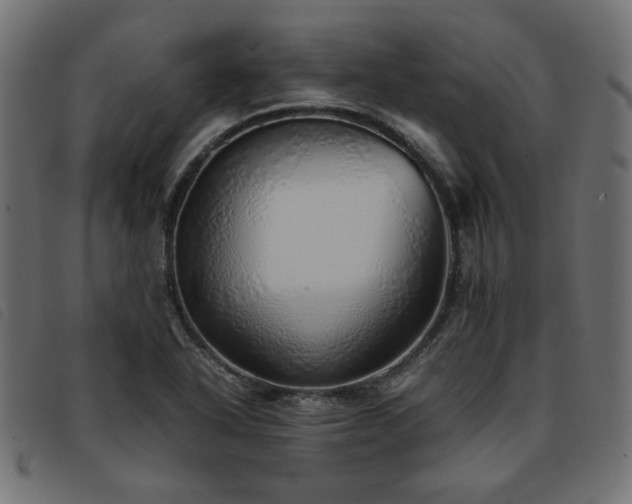 X0000093771318200710161234
