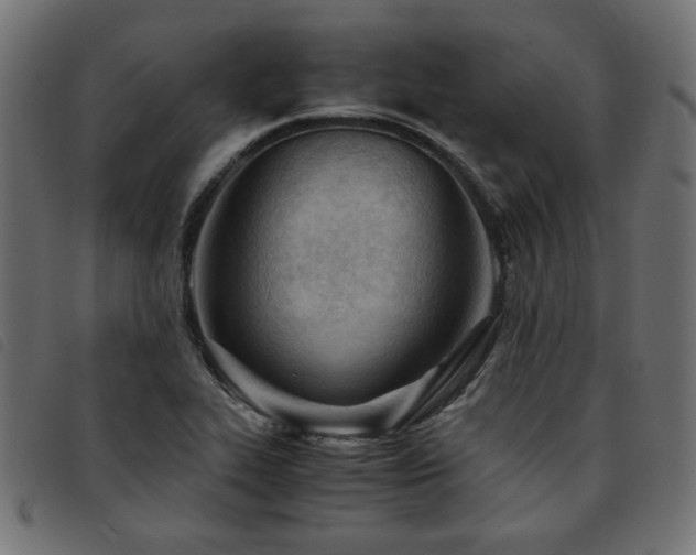 X0000093771319200710161234