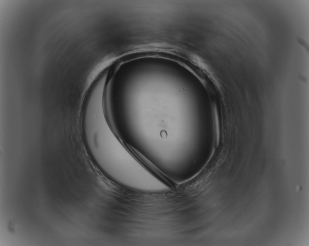 X0000093771320200710161234
