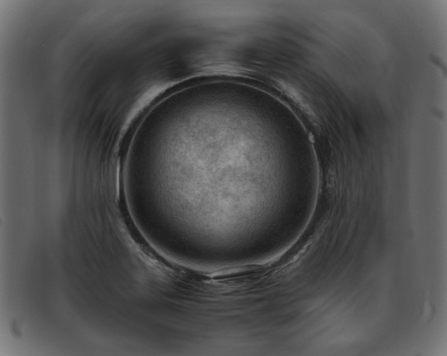 X0000093771323200710161234