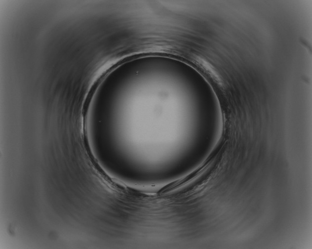 X0000093771324200710161234