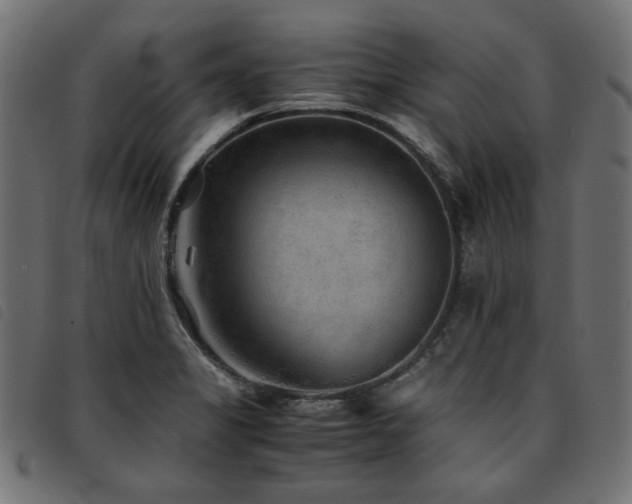 X0000093771325200710161234