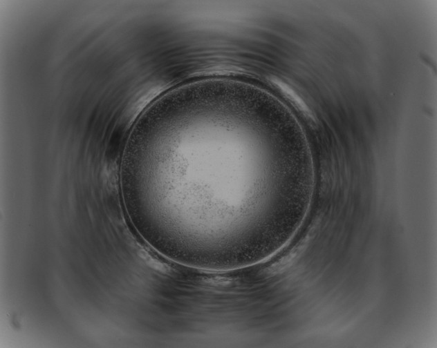 X0000093771329200710161234
