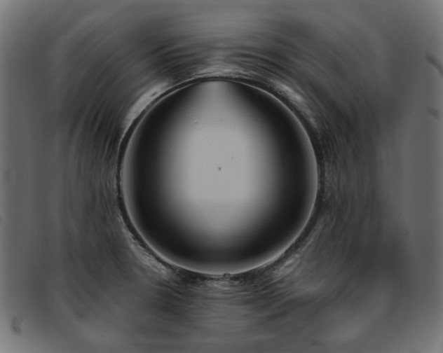 X0000093771330200710161234