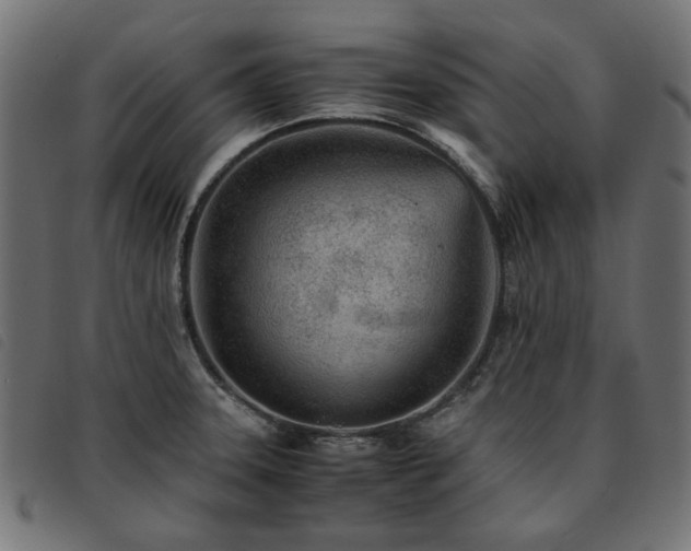 X0000093771331200710161234
