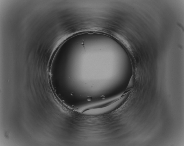 X0000093771332200710161234