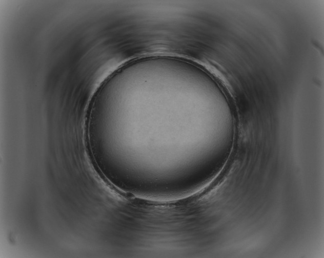X0000093771333200710161234