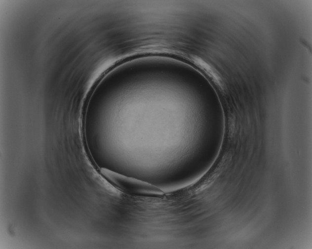 X0000093771334200710161234