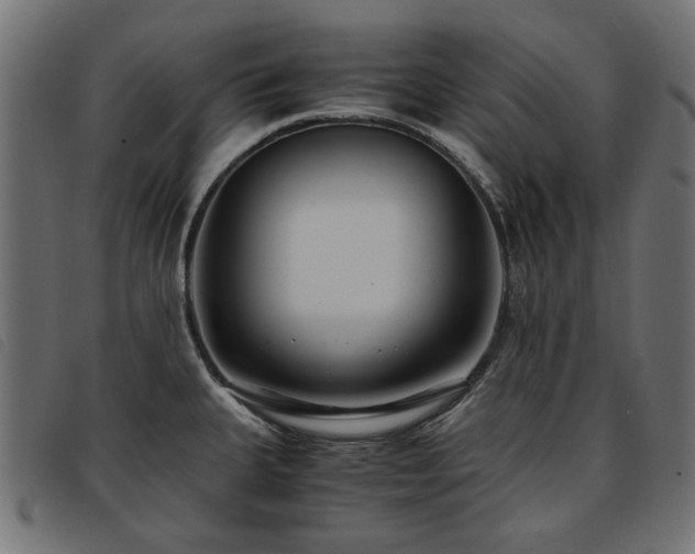 X0000093771335200710161234