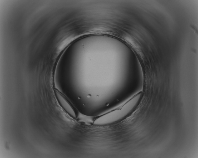 X0000093771336200710161234