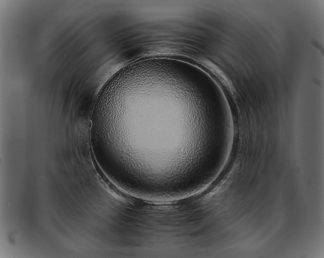 X0000093771337200710161234