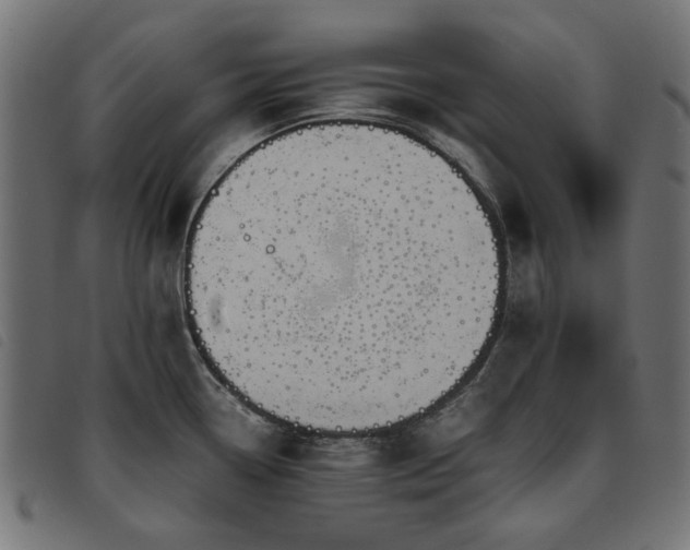 X0000093771338200710161234