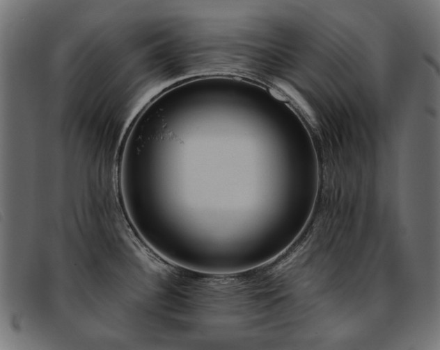 X0000093771340200710161234