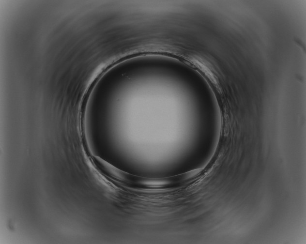 X0000093771342200710161235