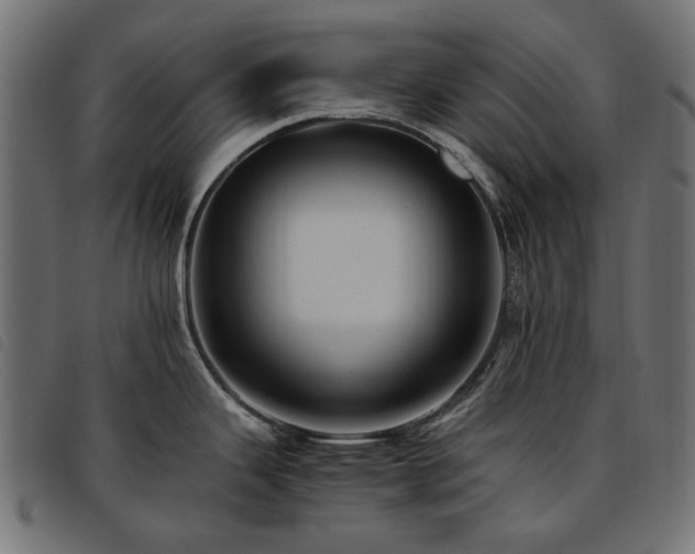 X0000093771343200710161235