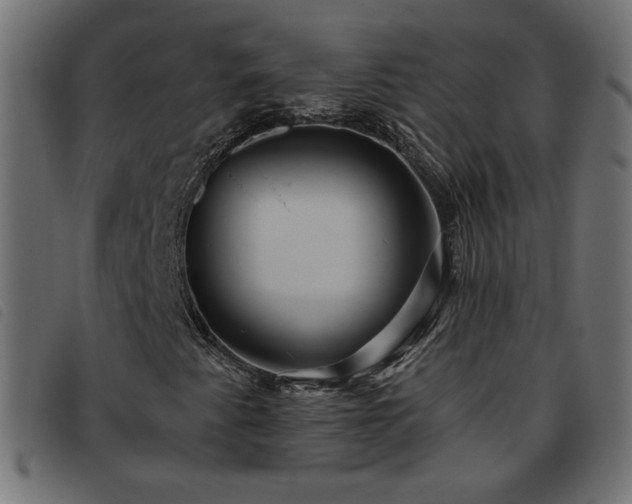 X0000093771345200710161234