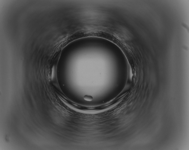 X0000093771348200710161234