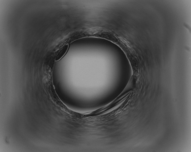 X0000093771349200710161234