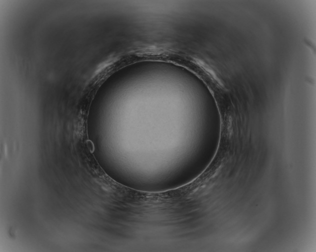 X0000093771350200710161234