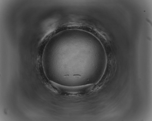 X0000093771351200710161234