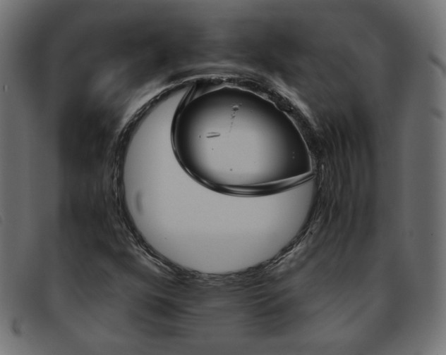 X0000093771352200710161234
