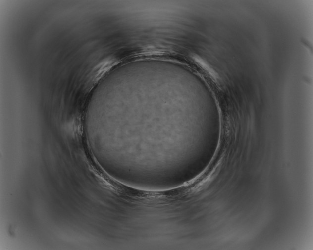 X0000093771353200710161234