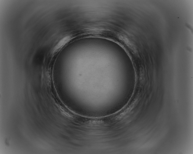X0000093771354200710161234