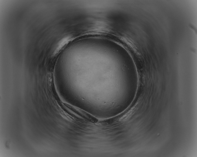 X0000093771355200710161234