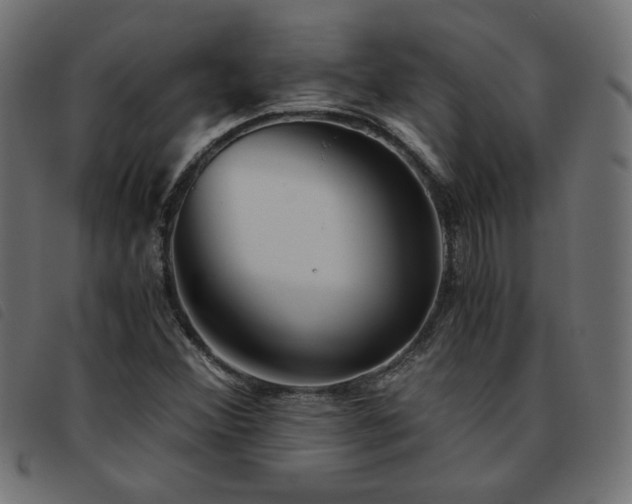 X0000093771356200710161234