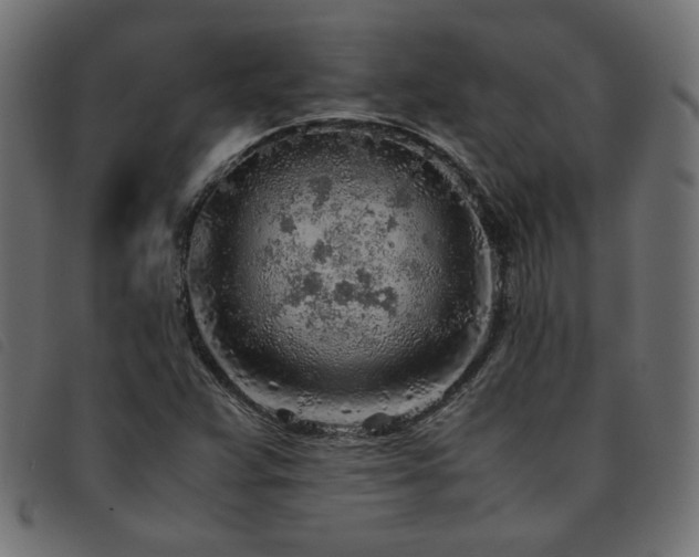 X0000093771359200710161234