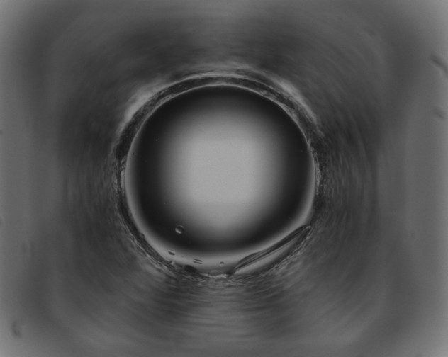 X0000093771360200710161234