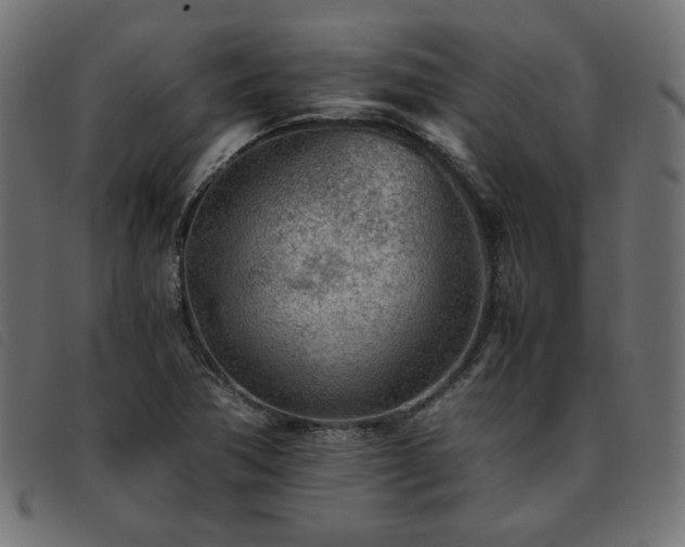 X0000093771362200710161234