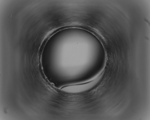 X0000093771364200710161234