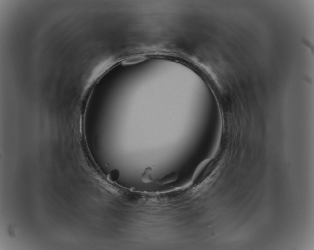 X0000093771365200710161234