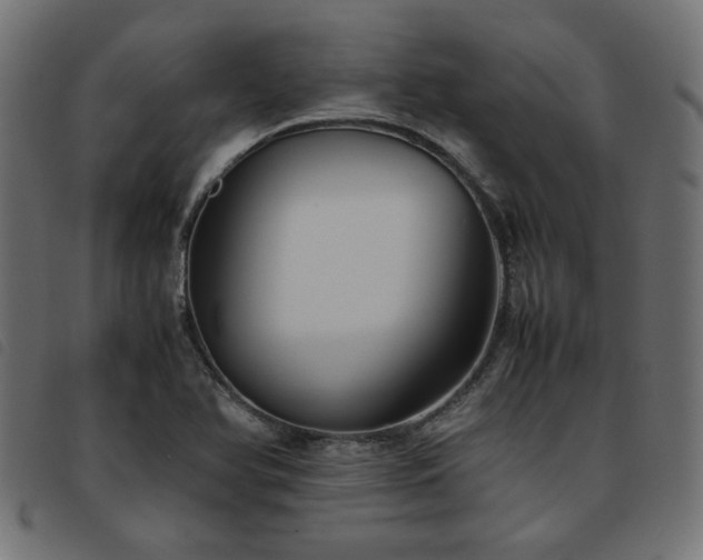 X0000093771366200710161234