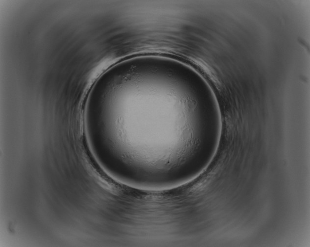 X0000093771371200710161234