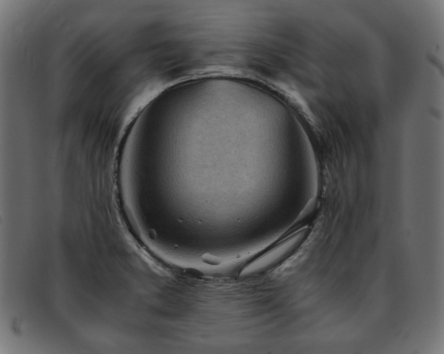 X0000093771373200710161234