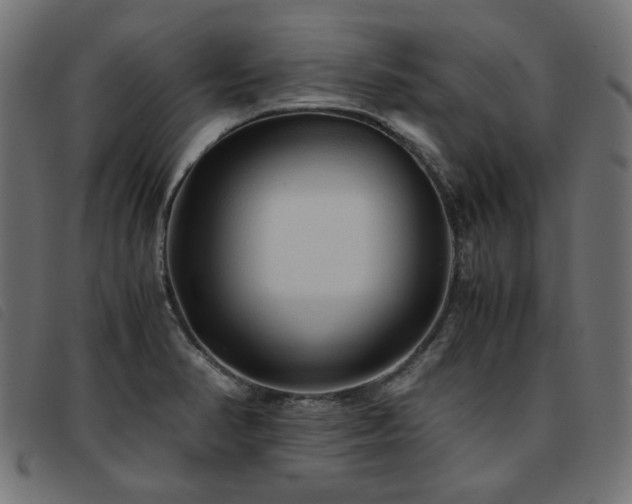 X0000093771374200710161234