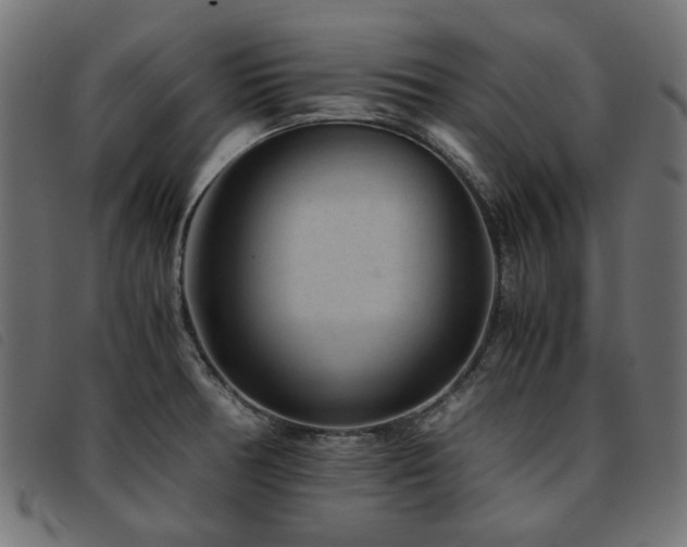 X0000093771378200710161234