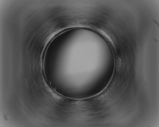 X0000093771380200710161234