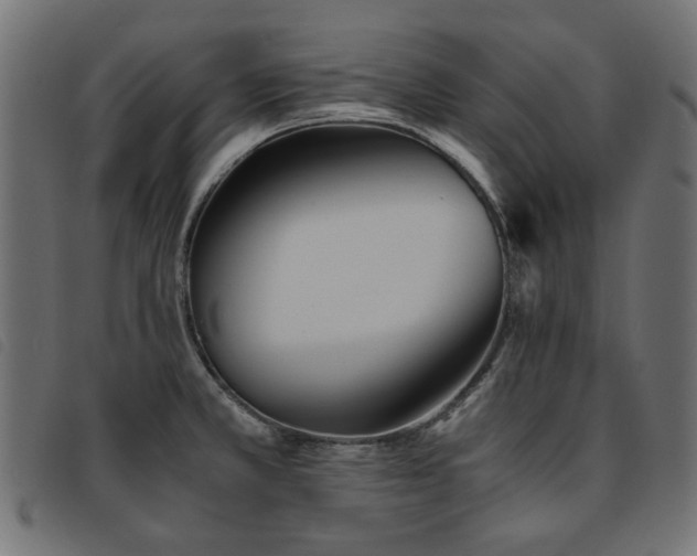 X0000093771381200710161234
