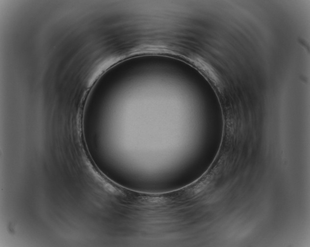 X0000093771382200710161234