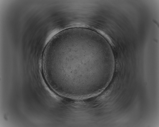 X0000093771383200710161234